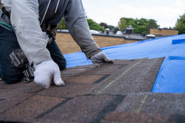 Professional Roofing Contractor in Somerville, TN